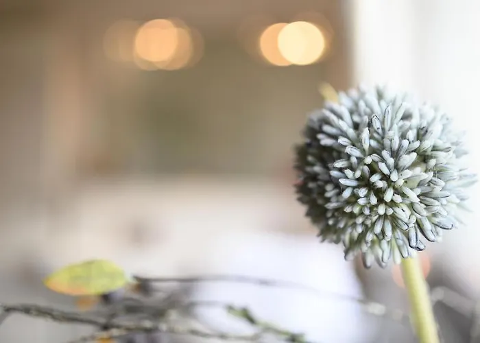 Windschaeufeln In * Garmisch-Partenkirchen