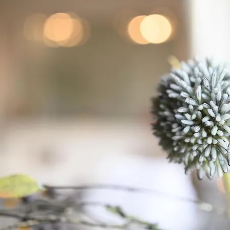 Σπίτι διακοπών Windschaeufeln In *